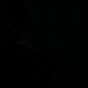 Meet your Posher, Jon